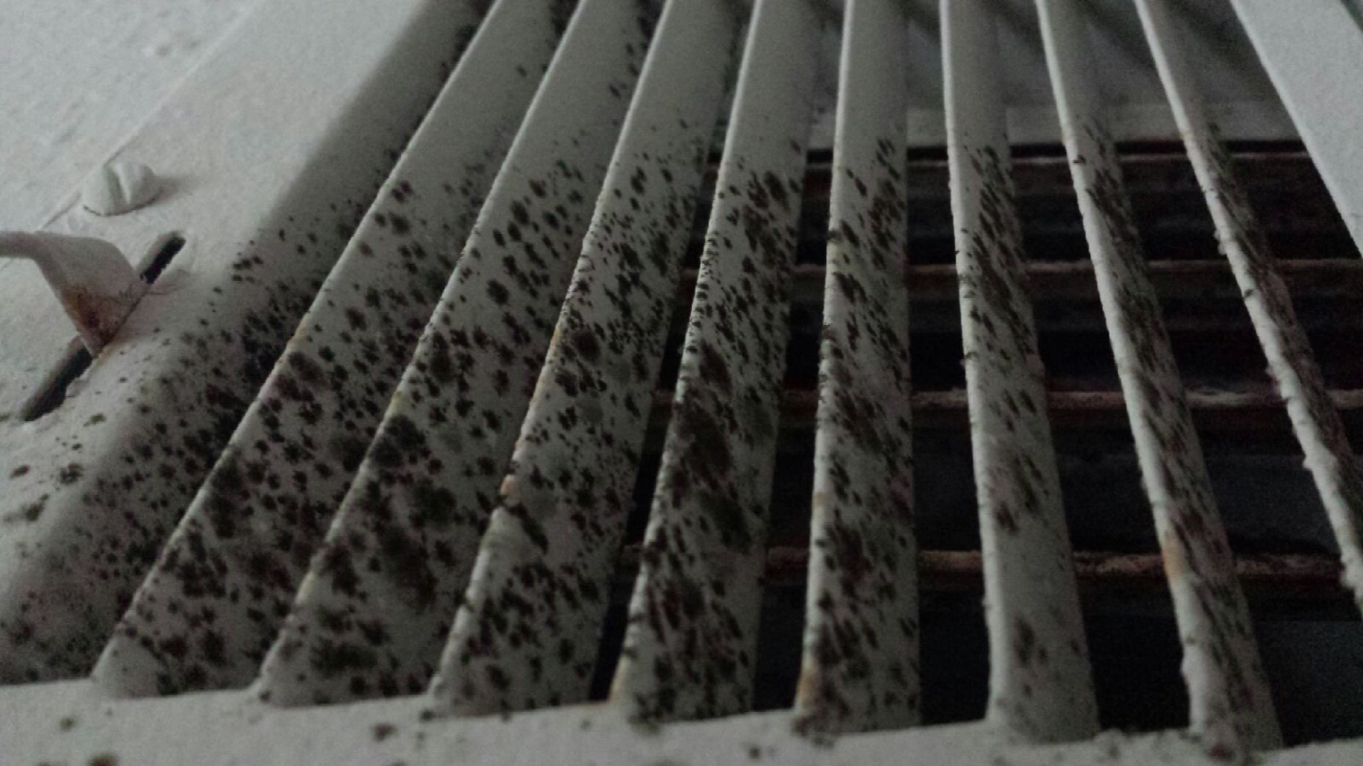What Causes Mold In Ductwork Premier Heating Cooling